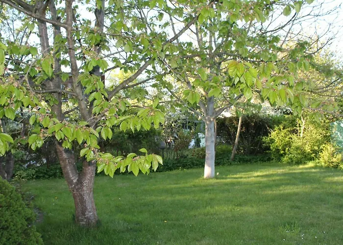 Lutzi\'S Ferienwohnung